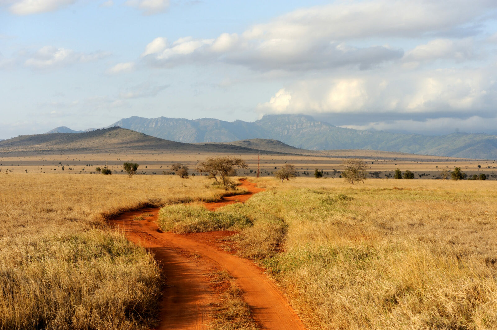 savannah landscape national park kenya africa