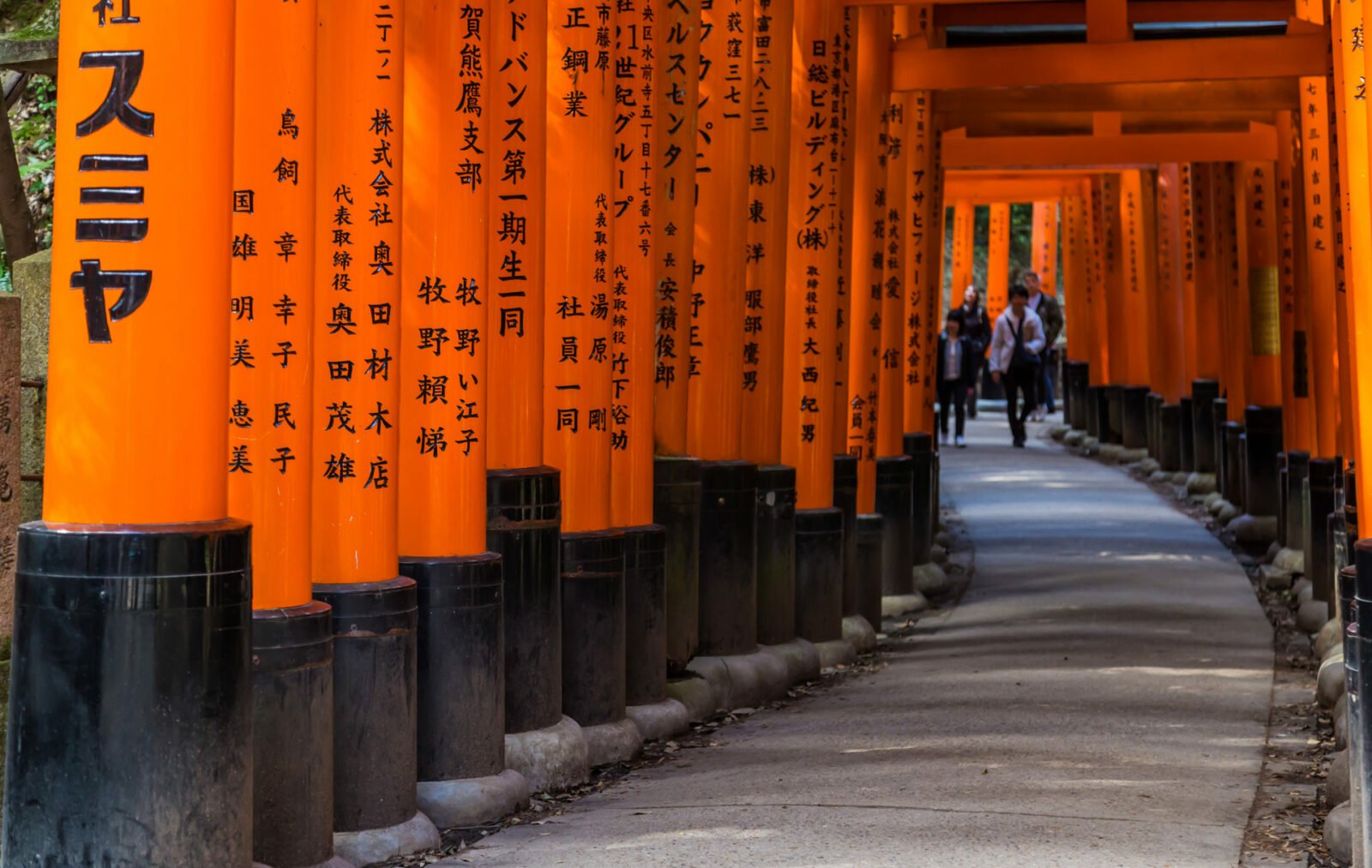 red torii gates fushimi inari shrine