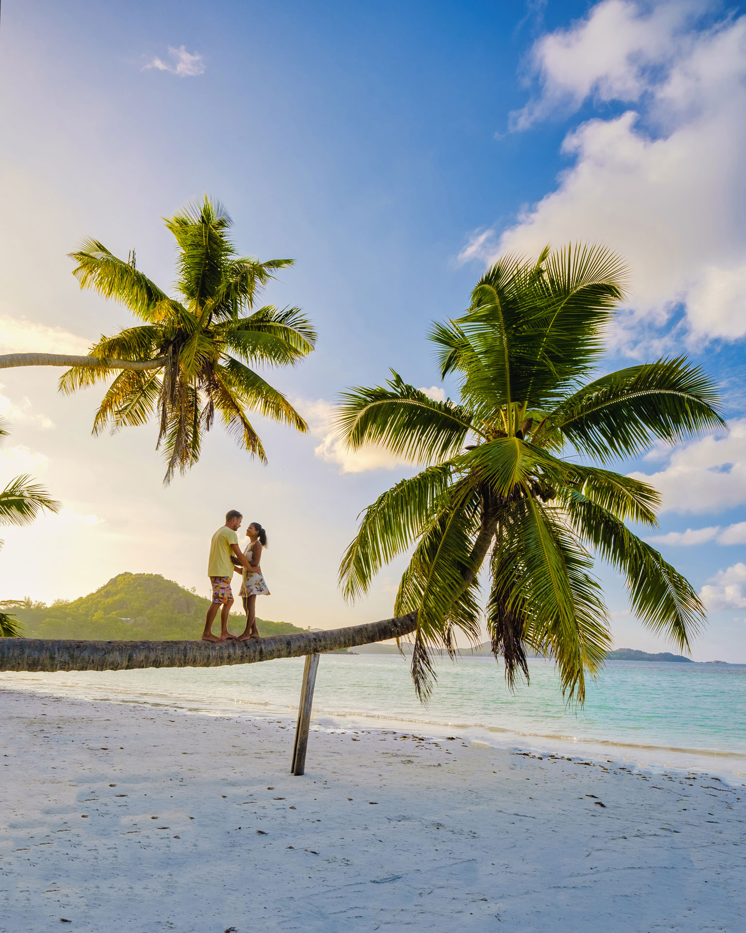 praslin seychelles tropical island with withe beaches palm trees couple men woman hammock