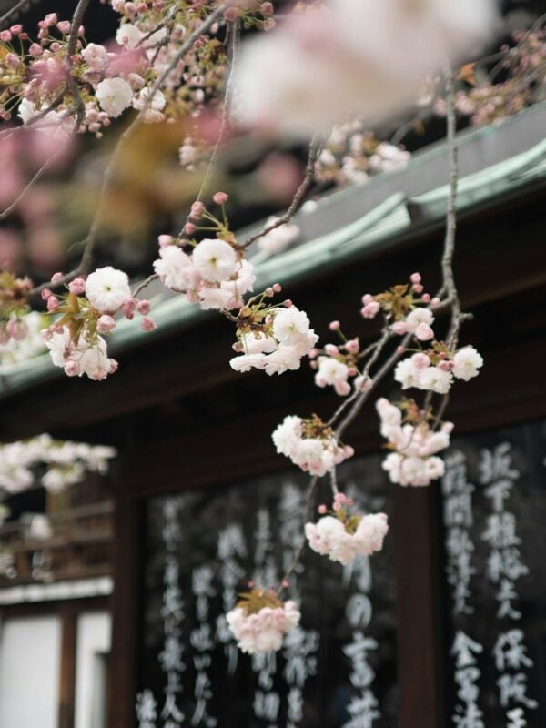 Galen Crout 0 Xmuebpfaq Unsplash